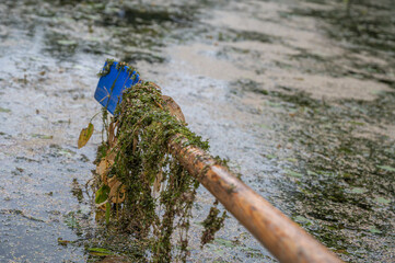Close-up image of an oar in the seaweed above the water.