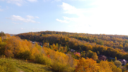 Autumn trees on top . Autumn landscape . Landscape from a drone. Photos from the air. Beautiful view. Orange trees.