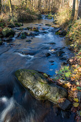 A water cascade with boulders in autumn creek with fallen leaves on a rocky shore. Water flows around the stones in the river.