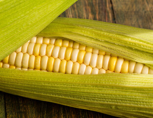 Zea mays - Tender ear of corn grown in Colombia fields