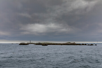 Ile-aux-Moutons, Glenan Islands, Finistere, Brittany, France