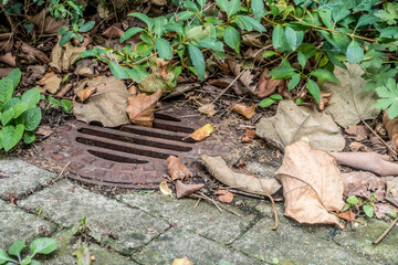 Laub verstopft Gulli