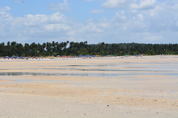 maragogi - alagoas