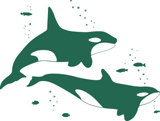 A pair of killer whales surrounded by fish. Silhouettes drawing. Vector.	
