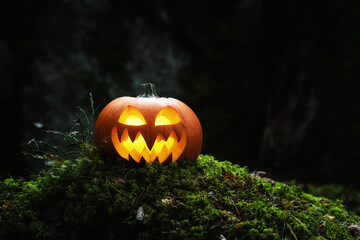 Glowing Jack O Lantern on moss in the dark forest. Halloween Pumpkin In A Spooky Forest At Night.