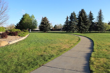 suburban city park pathway with manicured concrete paths passing through wilderness patches