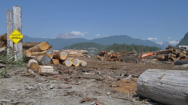 Wide, piles of timber, British Columbia