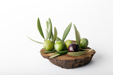 Ramo di ulivo e olive fresche 