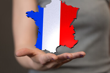 3d Digital France map country modern.