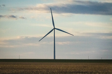 wind turbine in the field
