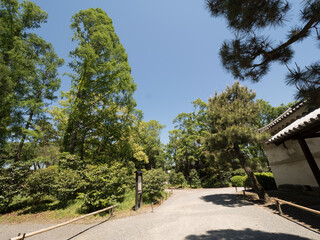 Jardines del Castillo Nijo, en Kioto, Japón