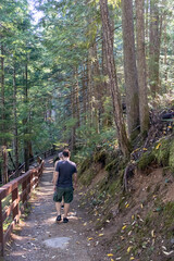 Obraz premium Couple walking in the woods in a park