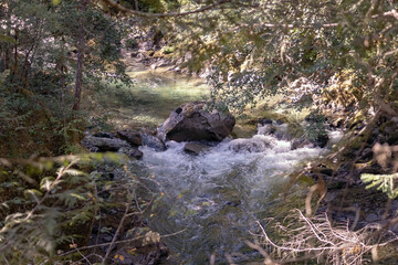 Naklejka na ściany i meble stream in the forest with a boulder