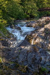 Little Qualicum Falls Park rock falls trees and river