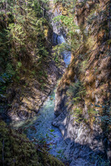 Little Qualicum Falls Park trees and river