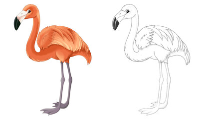 cartoon sketch scene with flamingo bird illustration