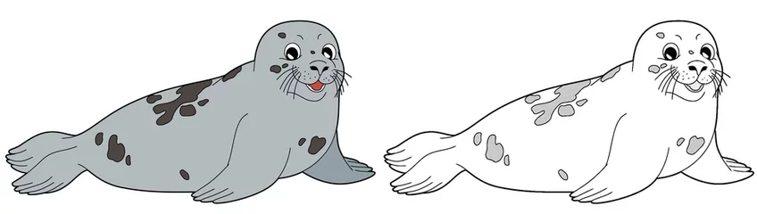 Foto op Canvas cartoon sketch scene with seal animal illustration © agaes8080