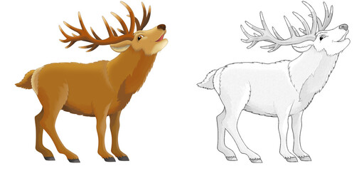 cartoon sketch scene with reindeer deer on white background - illustration