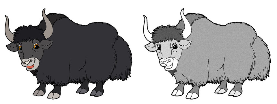 cartoon sketch scene with yak buffalo on white background - illustration