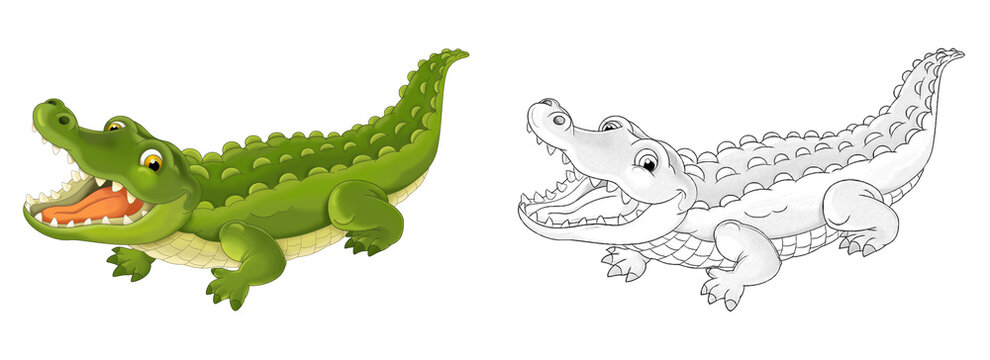 cartoon sketch scene with alligator crocodile illustration