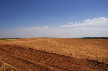 landscape of agricultural field, south of Portugal