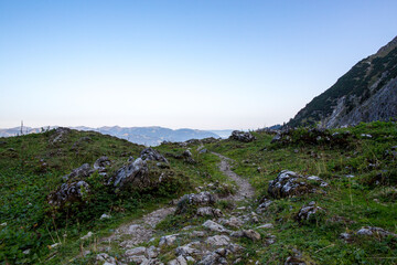 travel germany and bavaria, view into a green forest with a stream of wild water
