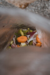 camping with friends day