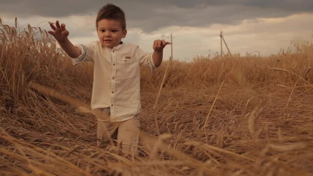 Video of cute boy in white shirt and shorts having fun and running around the wheat field in summer