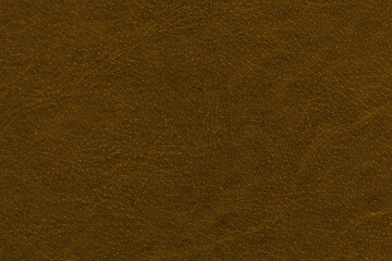 Vintage and old looking paper background. Colored gold with a brown retro book cover. Ancient book page.