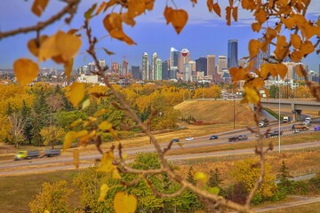 Calgary Landscape Under A Blue Sky In The Fall