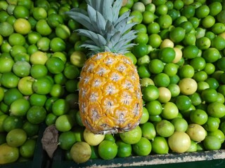 fruits and vegetables