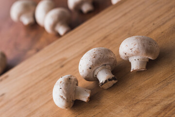 whole mushroom close up