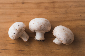 whole mushroom close up