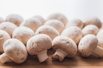 whole mushroom close up