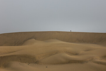 Fototapeta na wymiar Soledad en el desierto