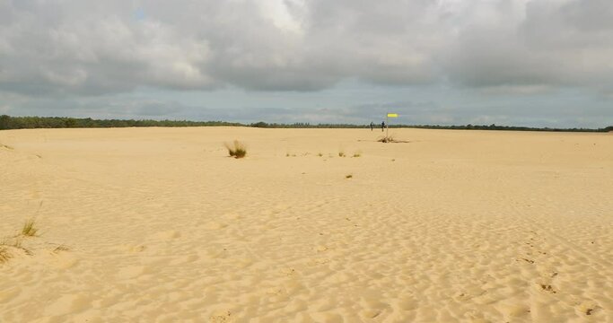 Sand dunes of Loonse en Drunense Duinen national Park