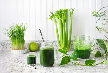 Concept of healthy lifestyle and immune boosting green juice with copy space