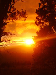 Obraz premium DIGITAL CAMERA