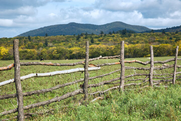 wooden fence on a farm in the village