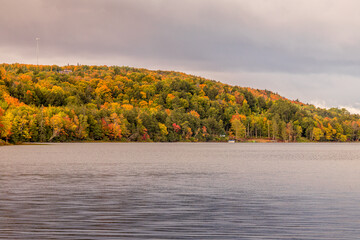Colorful fall foliage along a lake shore