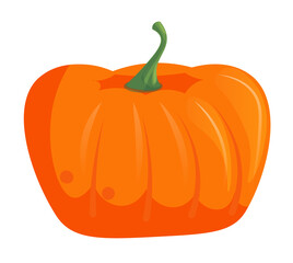 Vector single ripe pumpkin head autumnal vegetable illustration isolated on white background