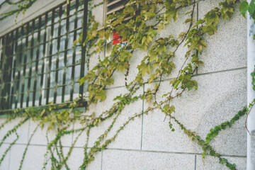 北野異人館街【神戸】