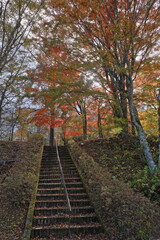 Fototapeta na wymiar 山中湖の紅葉風景