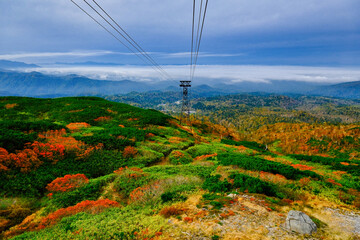 旭岳の紅葉 