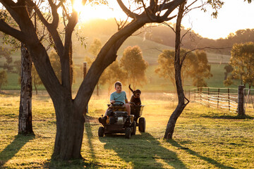 Boy driving ride on lawn mower with dog in trailer at sunset on country property with dust visible in golden sunlight © Caseyjadew