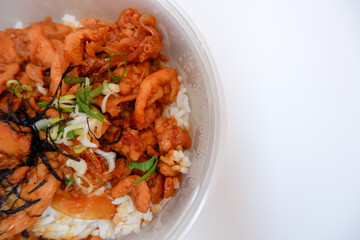 Japanese chicken rice, as known as Tori Don, is a chicken fillet cooked with japanese sauce placed on rice in a bowl. Tori Don in a white background with leeks on it.