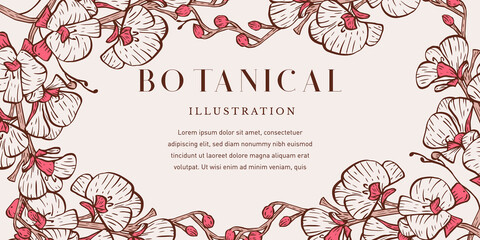 Botanical Illustration