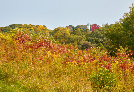 Red barn with white silo sitting on the top of a bluff with autumn leaves changing into beautiful colors