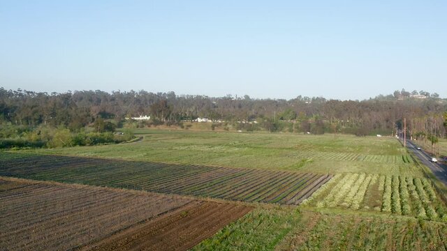 Aerial, pov, summer open fields, California, USA