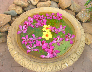 Fototapeta na wymiar Indian tropical flowers floating in the stone bowl 